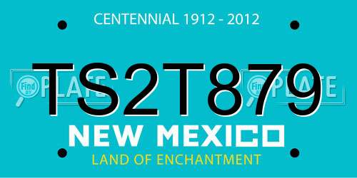 TS2T879 New Mexico License Plate
