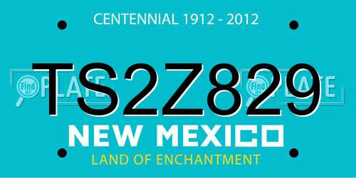 TS2Z829 New Mexico License Plate
