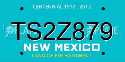 TS2Z879 New Mexico License Plate
