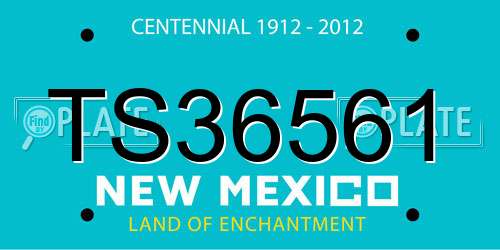 TS36561 New Mexico License Plate