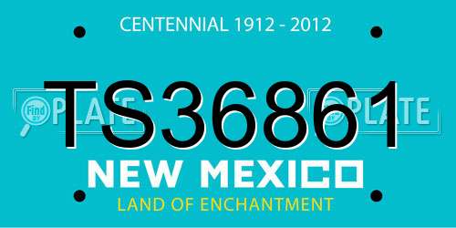 TS36861 New Mexico License Plate