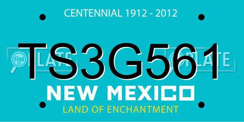 TS3G561 New Mexico License Plate