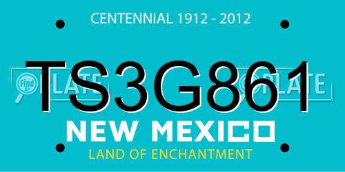 TS3G861 New Mexico License Plate
