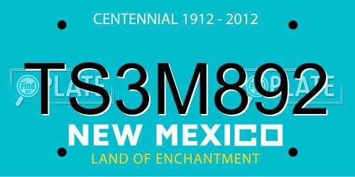TS3M892 New Mexico License Plate