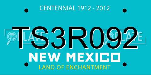 TS3R092 New Mexico License Plate