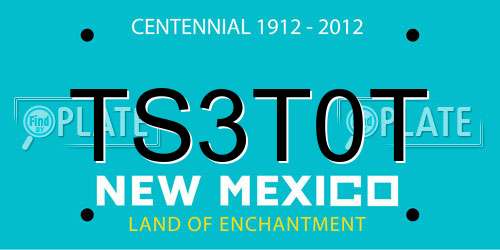 TS3T0T New Mexico License Plate