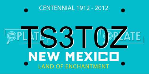 TS3T0Z New Mexico License Plate
