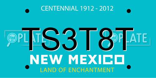 TS3T8T New Mexico License Plate