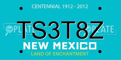 TS3T8Z New Mexico License Plate