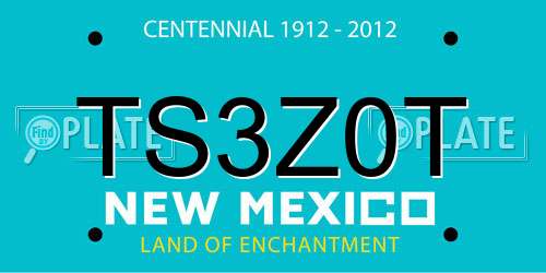 TS3Z0T New Mexico License Plate