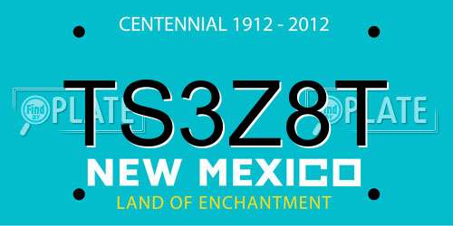 TS3Z8T New Mexico License Plate