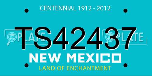 TS42437 New Mexico License Plate