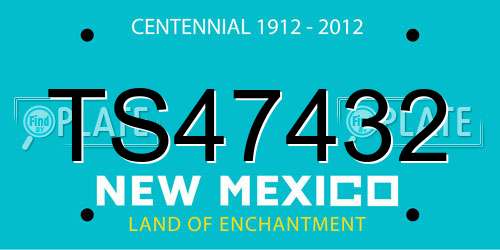TS47432 New Mexico License Plate