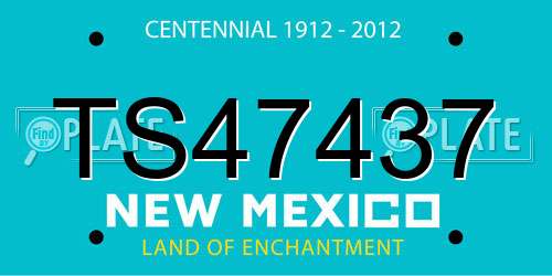 TS47437 New Mexico License Plate