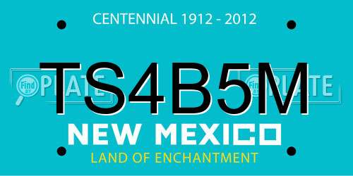 TS4B5M New Mexico License Plate