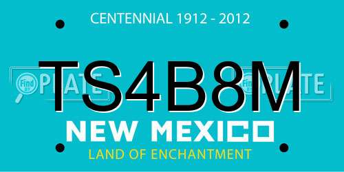 TS4B8M New Mexico License Plate