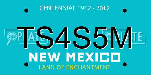 TS4S5M New Mexico License Plate