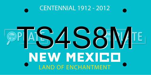 TS4S8M New Mexico License Plate