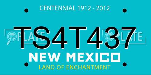 TS4T437 New Mexico License Plate
