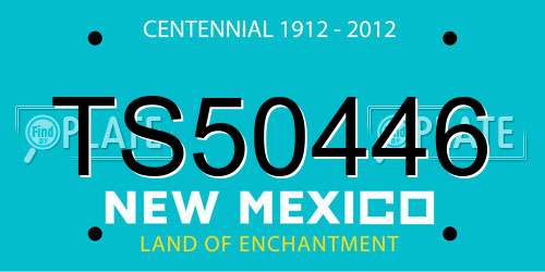 TS50446 New Mexico License Plate