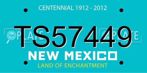 TS57449 New Mexico License Plate