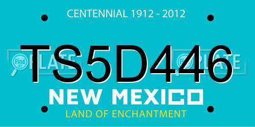 TS5D446 New Mexico License Plate