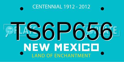 TS6P656 New Mexico License Plate