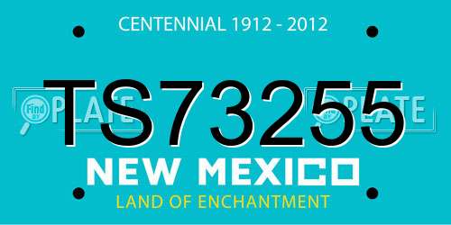 TS73255 New Mexico License Plate