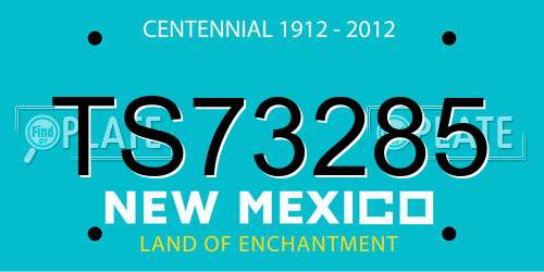 TS73285 New Mexico License Plate