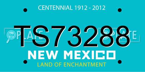 TS73288 New Mexico License Plate
