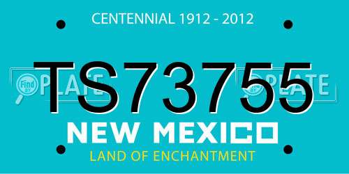 TS73755 New Mexico License Plate