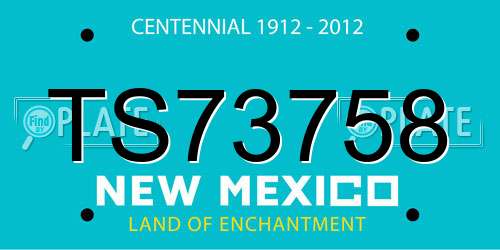 TS73758 New Mexico License Plate