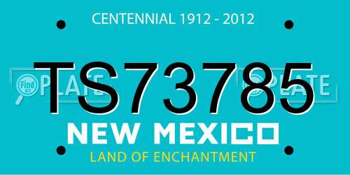 TS73785 New Mexico License Plate