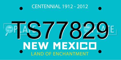 TS77829 New Mexico License Plate