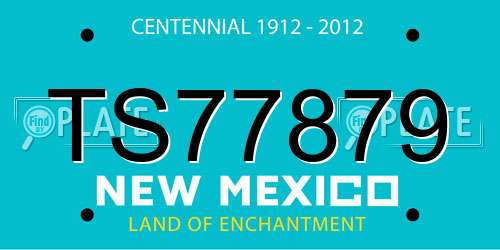 TS77879 New Mexico License Plate