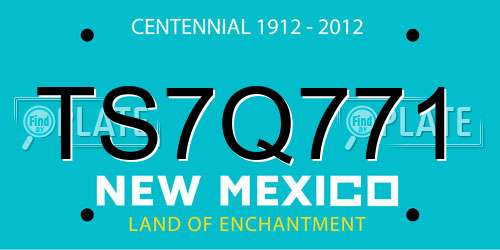 TS7Q771 New Mexico License Plate