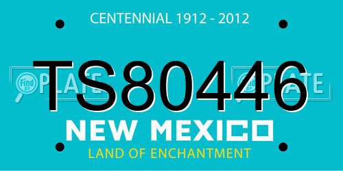 TS80446 New Mexico License Plate