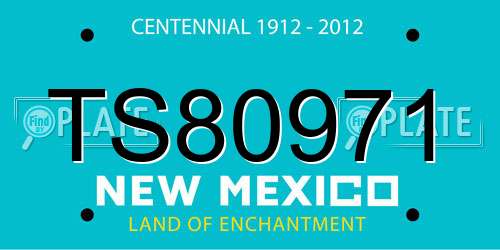 TS80971 New Mexico License Plate