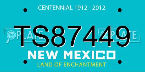 TS87449 New Mexico License Plate