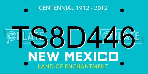 TS8D446 New Mexico License Plate
