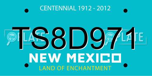TS8D971 New Mexico License Plate