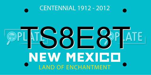 TS8E8T New Mexico License Plate