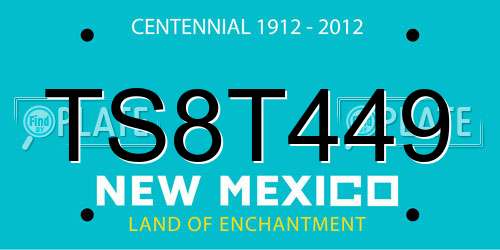 TS8T449 New Mexico License Plate