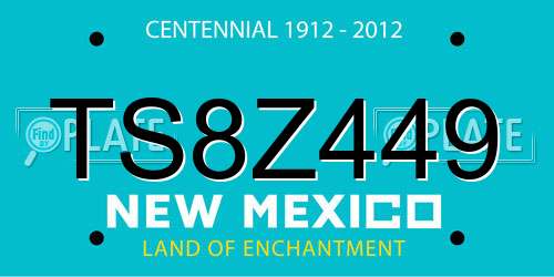 TS8Z449 New Mexico License Plate