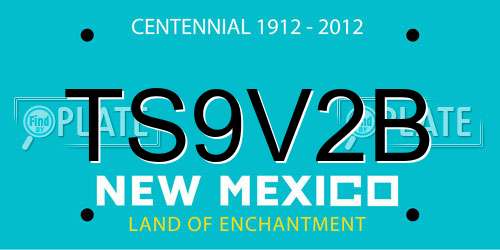 TS9V2B New Mexico License Plate