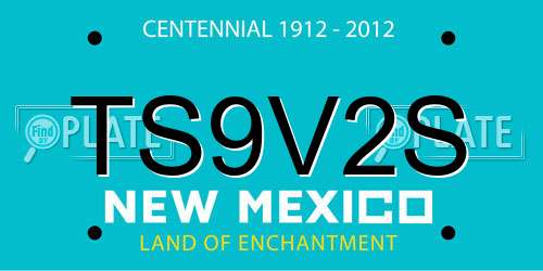 TS9V2S New Mexico License Plate