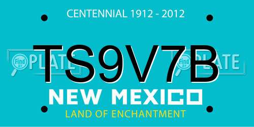 TS9V7B New Mexico License Plate