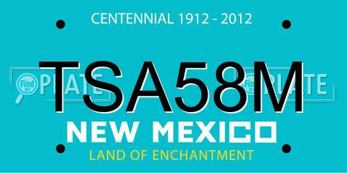 TSA58M New Mexico License Plate