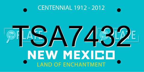 TSA7432 New Mexico License Plate