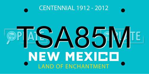 TSA85M New Mexico License Plate